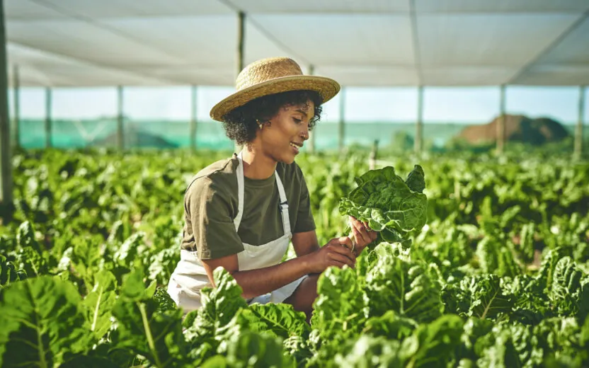 Shot of a young woman working with crops on a farm Shot of a young woman working with crops on a farm