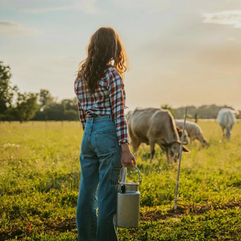 Young woman holding milk canister while watching over cows on field Young woman holding milk canister while watching over cows on field