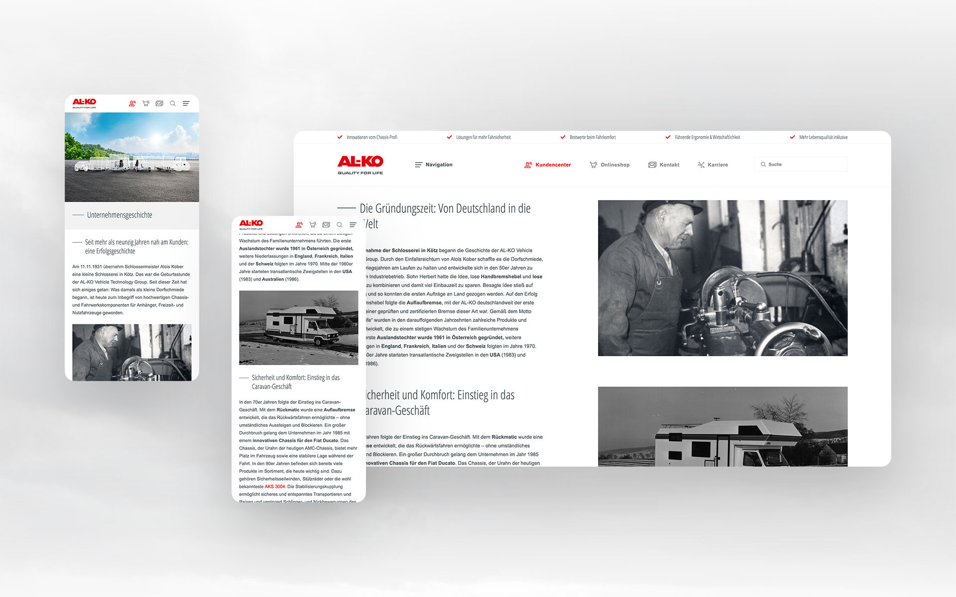valantic-showcase-AL-KO-mockup-d-5 Screenshot von einer AL-KO-Produktseite