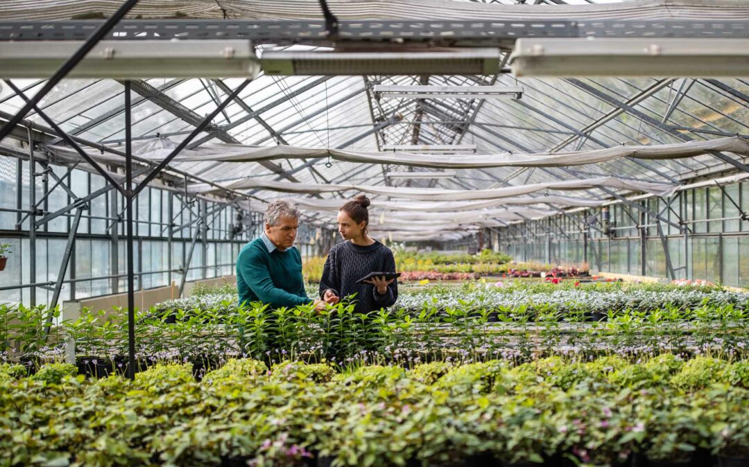Greenhouse house worker talking with a man customer. Greenhouse house worker talking with a man customer.