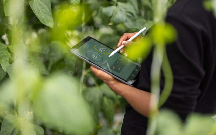 EUDR EU Regulation on Deforestation free Products GreenToken valantic