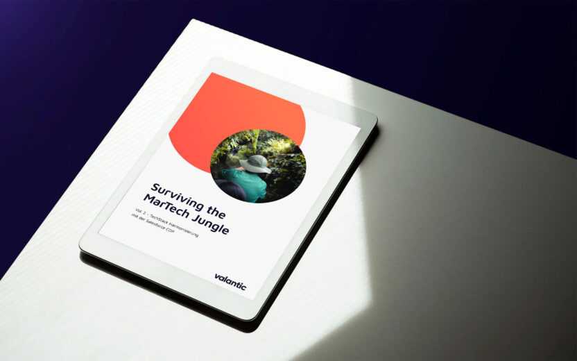 Mockup Whitepaper: Surviving the MarTech Jungle – Expedition: TechStack Harmonisierung Salesforce Mockup Whitepaper: Surviving the MarTech Jungle – Expedition: TechStack Harmonisierung Salesforce