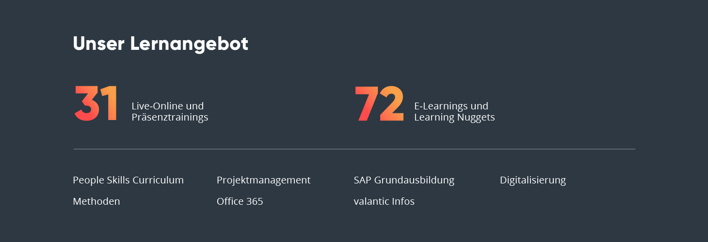 Infografik zu den Lernangeboten von valantic, People Development Infografik zu den Lernangeboten von valantic, People Development