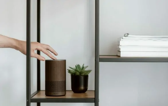Bild von einem braunen Amazon Sprachassistenten auf einem Regal, Nutzung von Sprachassistenten wie Siri und Alexa werden sicherer; AI, Machine Learning & RPA